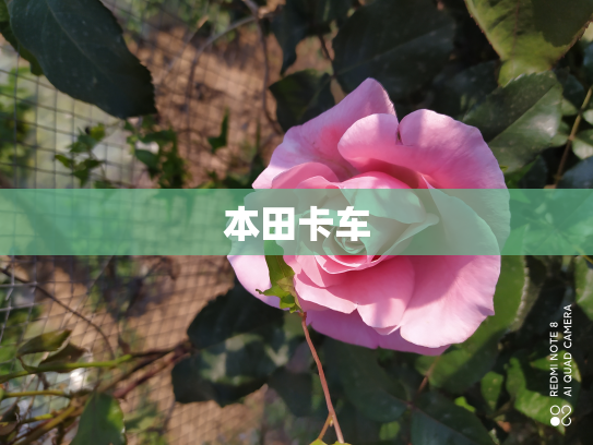 本田卡车