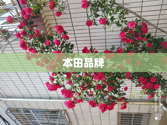 本田品牌