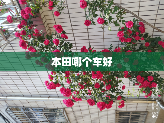 本田哪个车好