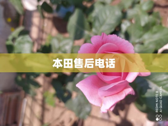 本田售后电话