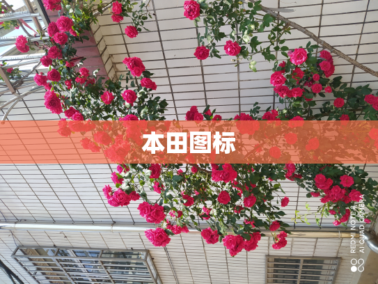 本田图标