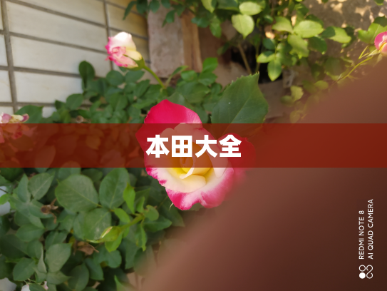 本田大全