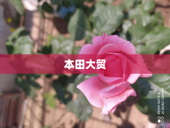 本田大贸