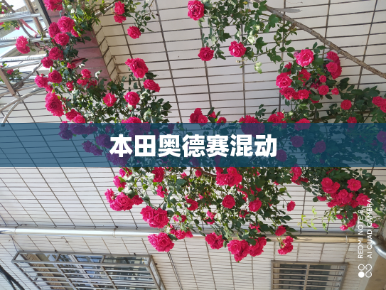 本田奥德赛混动