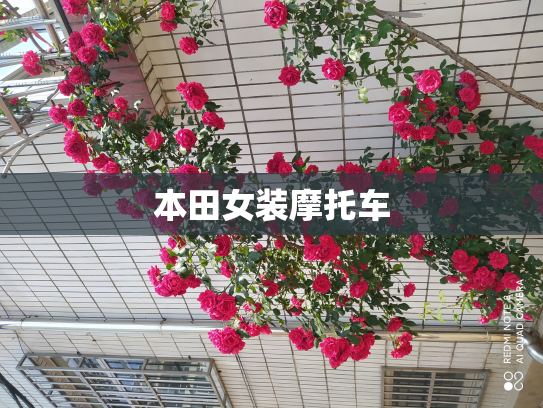 本田女装摩托车
