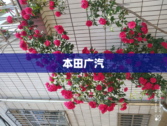 本田广汽