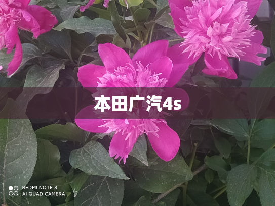 本田广汽4s