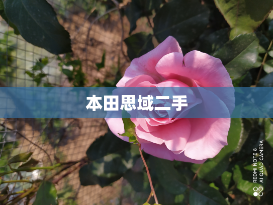 本田思域二手