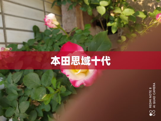 本田思域十代