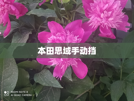 本田思域手动挡