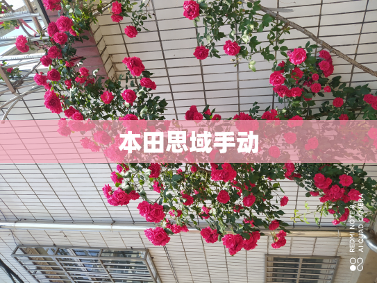 本田思域手动