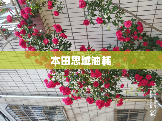 本田思域油耗
