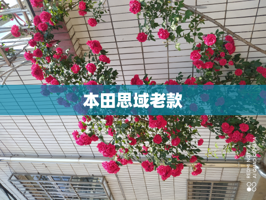 本田思域老款
