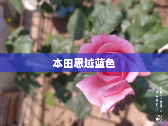 本田思域蓝色