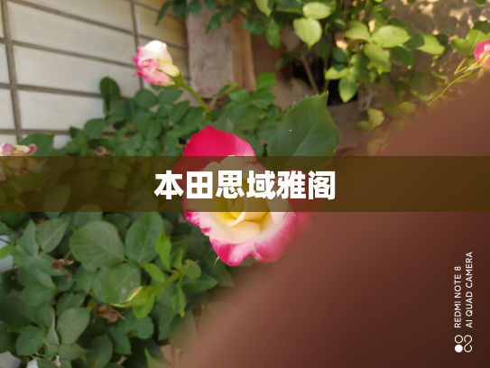 本田思域雅阁