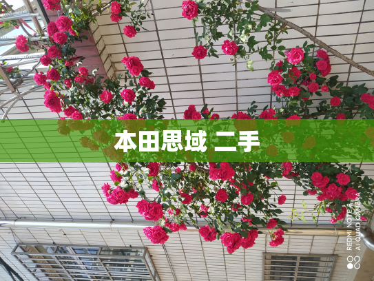 本田思域 二手