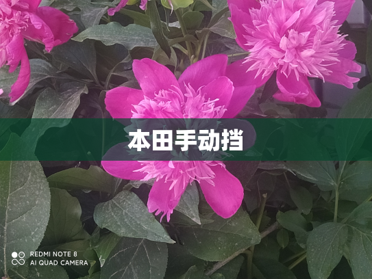 本田手动挡