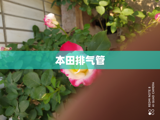 本田排气管