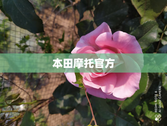 本田摩托官方