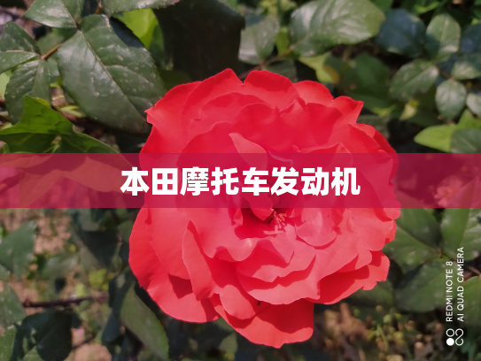 本田摩托车发动机