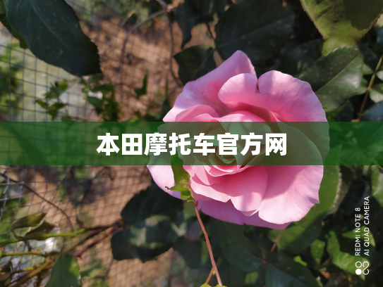 本田摩托车官方网