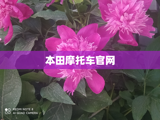 本田摩托车官网