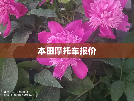 本田摩托车报价