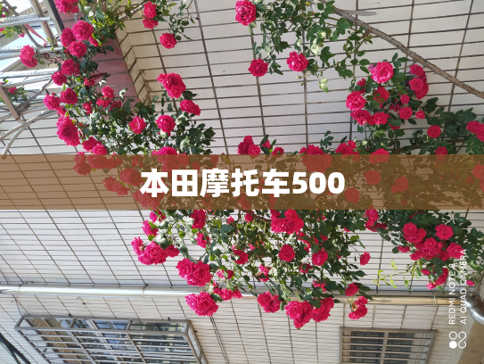 本田摩托车500