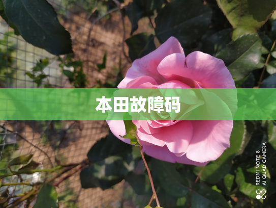 本田故障码