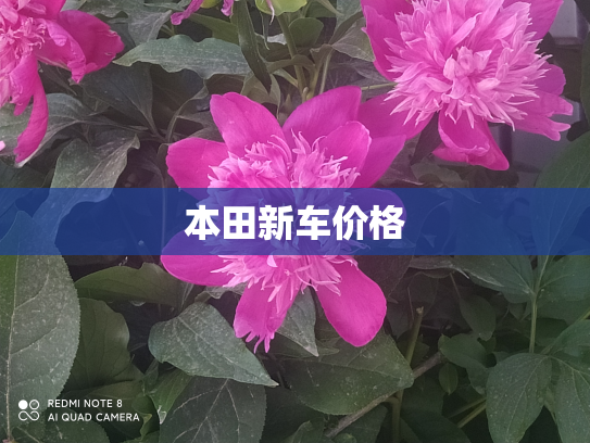 本田新车价格