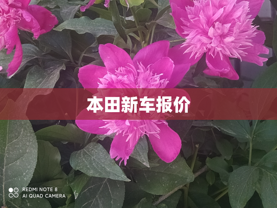 本田新车报价