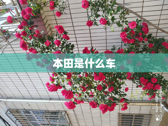 本田是什么车
