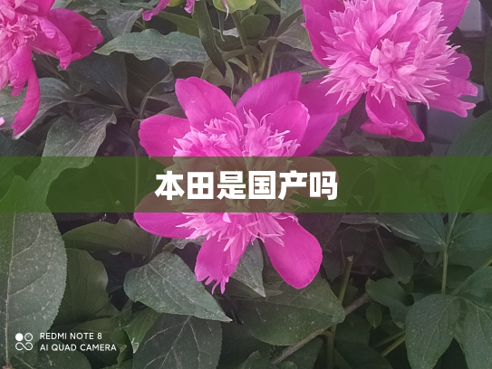 本田是国产吗
