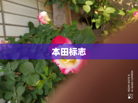 本田标志