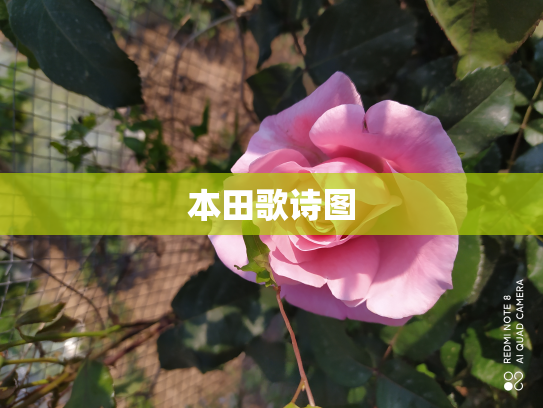 本田歌诗图