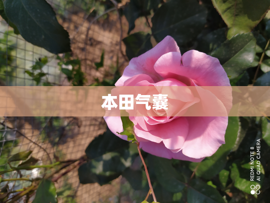 本田气囊