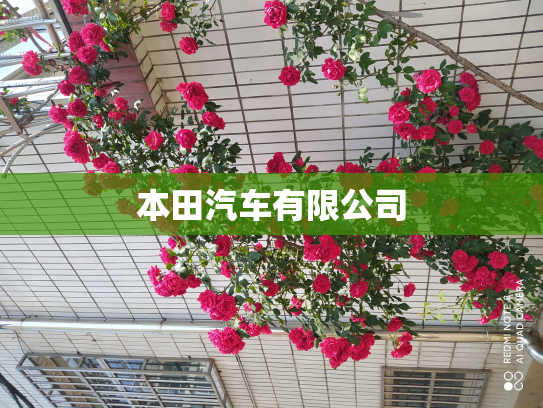 本田汽车有限公司