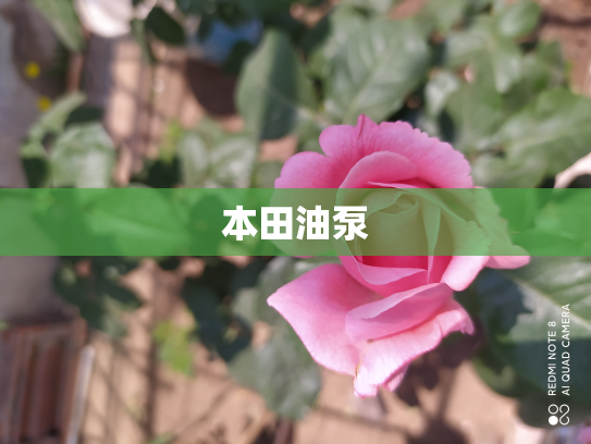 本田油泵