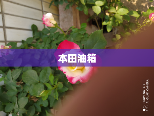 本田油箱