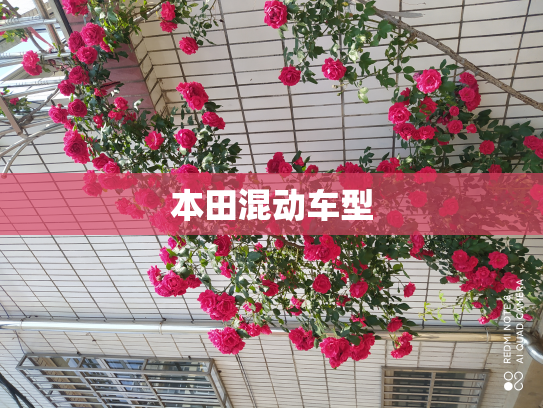 本田混动车型