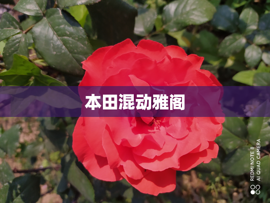 本田混动雅阁