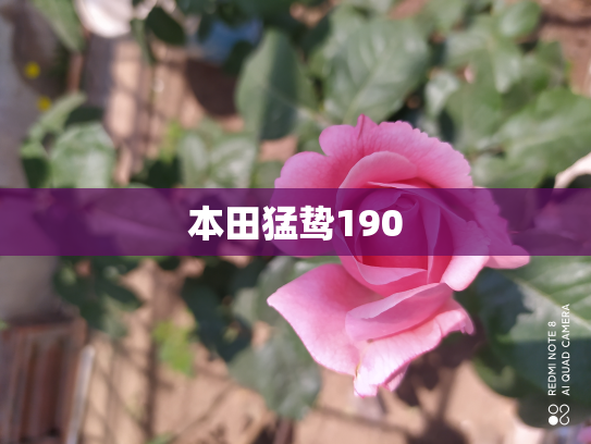 本田猛鸷190