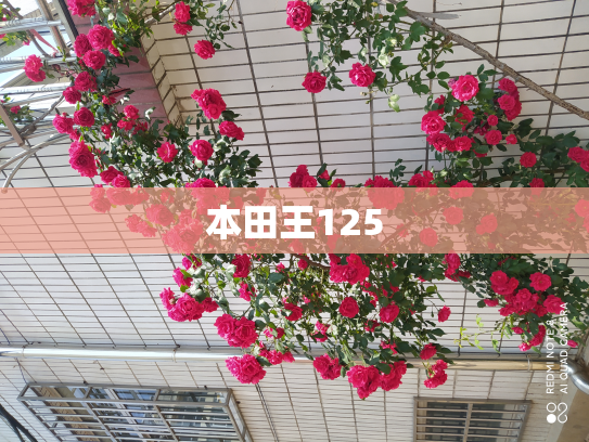 本田王125