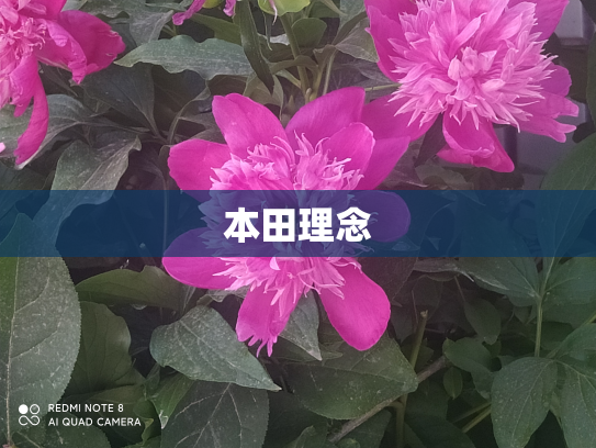 本田理念