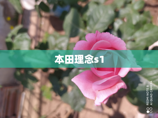 本田理念s1