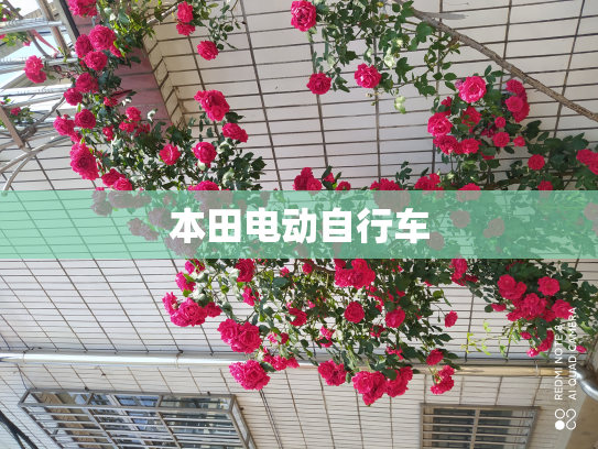 本田电动自行车