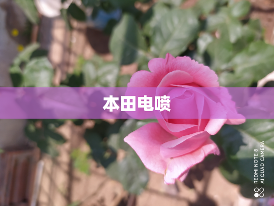 本田电喷