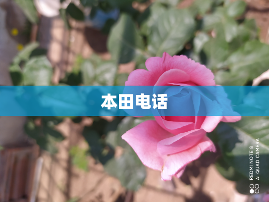 本田电话