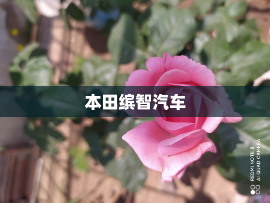 本田缤智汽车