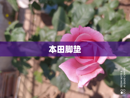 本田脚垫